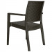 Compamia Ibiza Wicker Dining Chair Pair - Brown