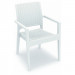 Compamia Ibiza Wicker Dining Chair Pair - White