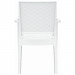 Compamia Ibiza Wicker Dining Chair Pair - White