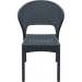 Compamia Daytona Wicker Dining Chair Pair - Dark Gray