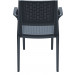 Compamia Capri Wicker Dining Chair Pair - Dark Gray