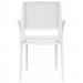Compamia Capri Wicker Dining Chair Pair - White