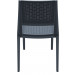 Compamia Verona Wicker Armless Dining Chair Pair - Dark Gray
