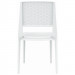 Compamia Verona Wicker Armless Dining Chair Pair - White