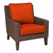 Stationary Lounge Chair Cushion